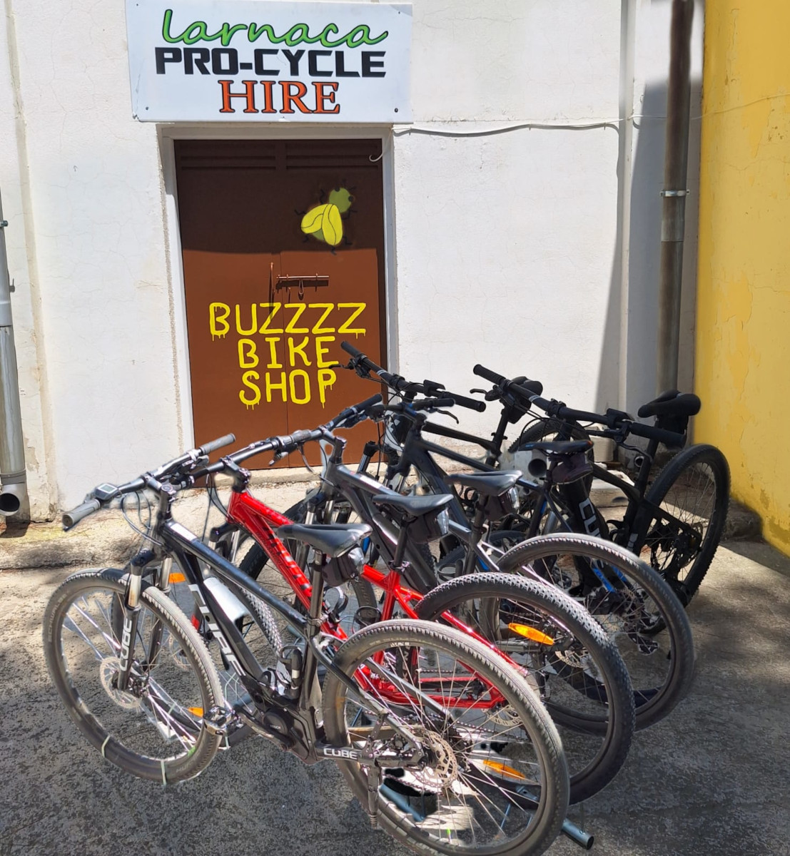 Buzzzz rental bikes