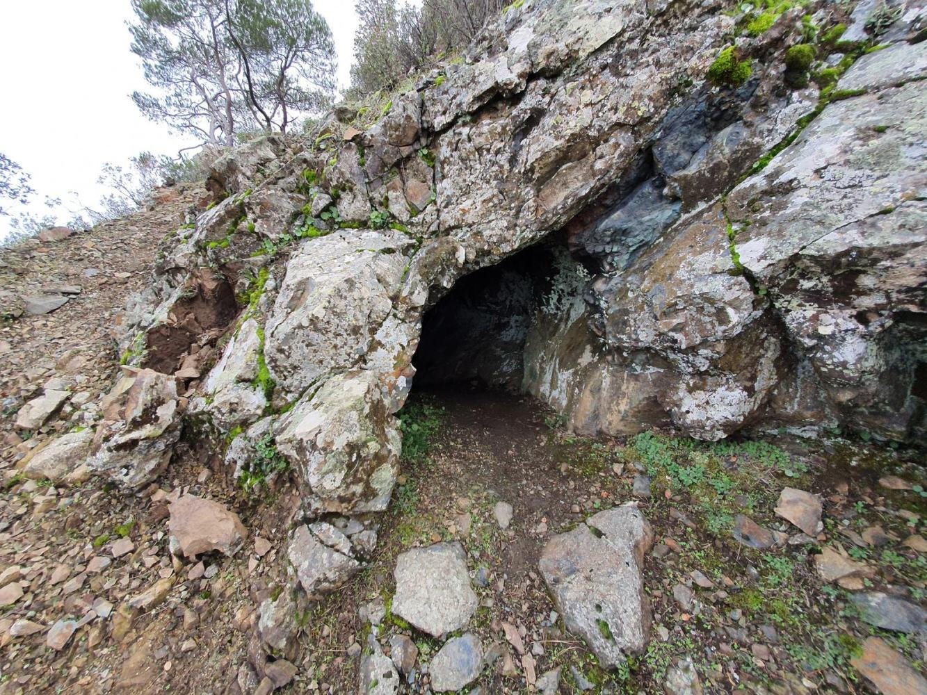 A mysterious cave along the hiking trail, 
            surrounded by dense pine trees, inviting explorers to uncover its secrets.