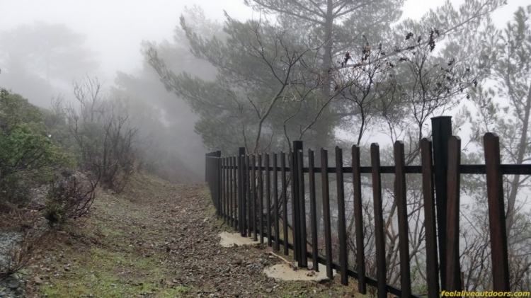 A peaceful hiking path bordered by wooden fences, 
            surrounded by lush trees and offering a stunning view of distant mountains.